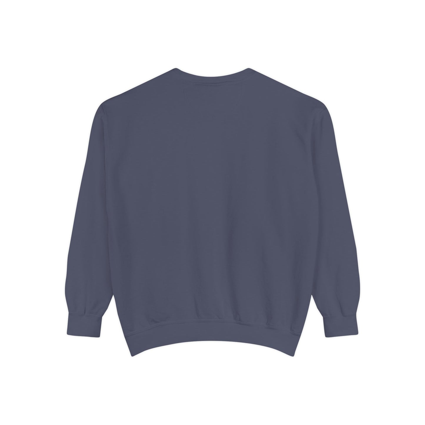 Eagle Feather Embroidered Sweatshirt